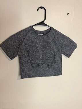 Grey Seamless Cropped Active Top
